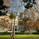 Illustration for article titled LAPD Opens Investigation Into 52 Sexual Misconduct Complaints Against Former USC Gynecologist